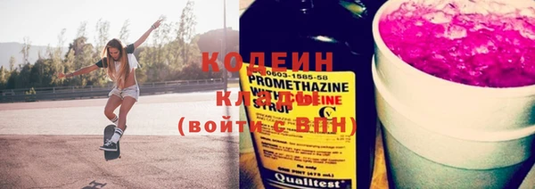 индика Осташков