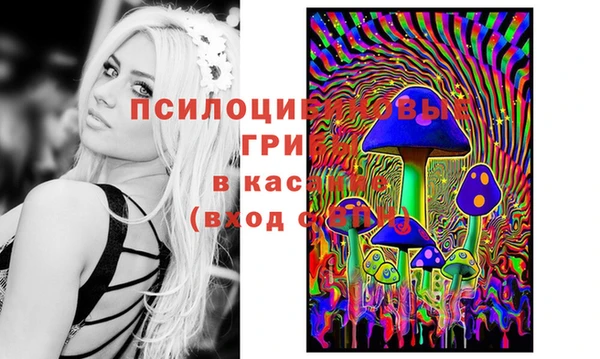 гашишное масло Белокуриха